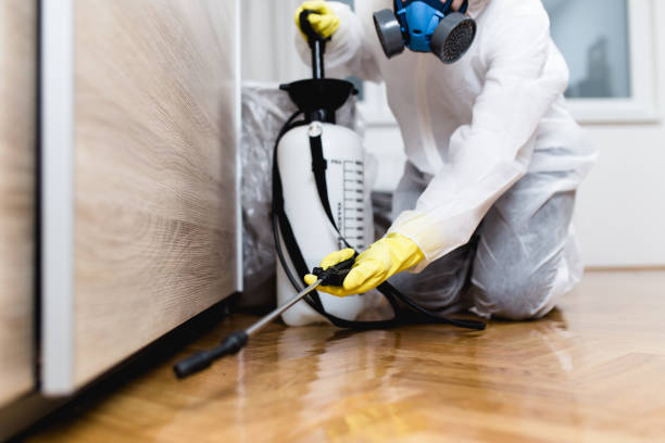 Best Pest Prevention Services  in Genoa, AR