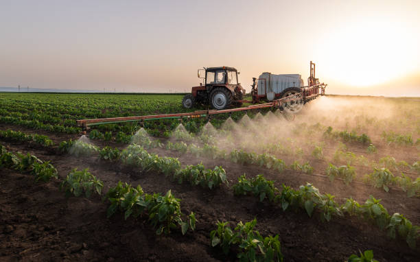 Best Pest Prevention Services  in Genoa, AR