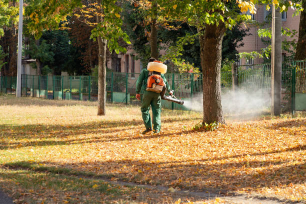 Best Termite Control Services  in Genoa, AR
