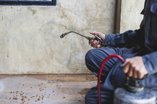 Best Mosquito Control Services  in Genoa, AR